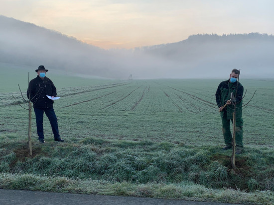 Gemeinde Löhnberg lässt Quitten und Mispeln in der gesamten Großgemeinde pflanzen